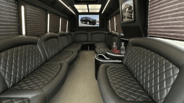 20 passenger party bus interior